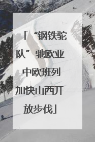 “钢铁驼队”驰欧亚 中欧班列加快山西开放步伐