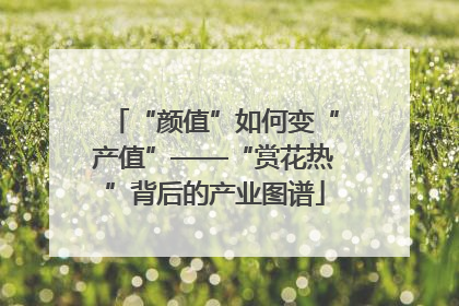 “颜值”如何变“产值”——“赏花热”背后的产业图谱