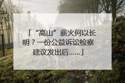 “高山”薪火何以长明？一份公益诉讼检察建议发出后……