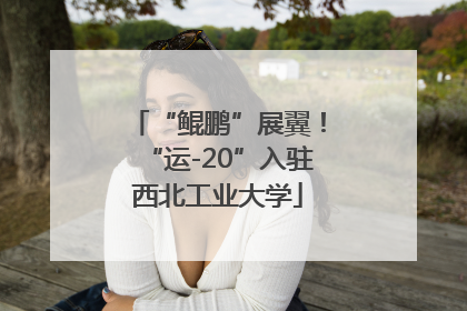“鲲鹏”展翼！“运-20”入驻西北工业大学