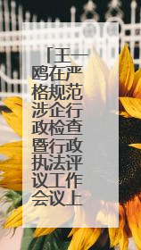 王一鸥在严格规范涉企行政检查暨行政执法评议工作会议上强调 推进涉企行政检查质效大幅提升