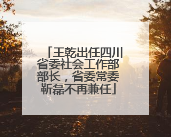 王乾出任四川省委社会工作部部长，省委常委靳磊不再兼任