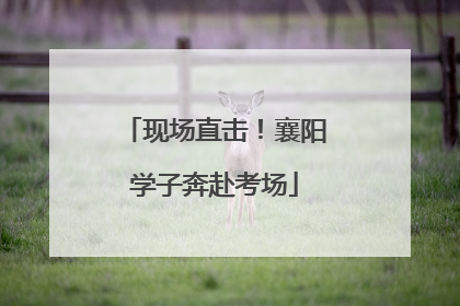 现场直击！襄阳学子奔赴考场