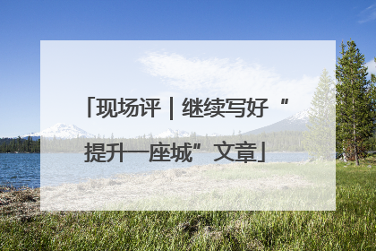 现场评｜继续写好“提升一座城”文章
