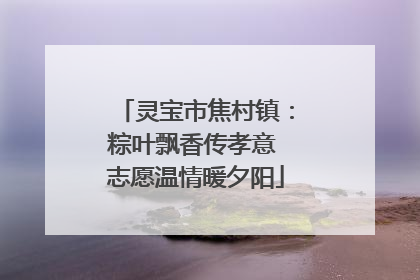 灵宝市焦村镇：粽叶飘香传孝意 志愿温情暖夕阳
