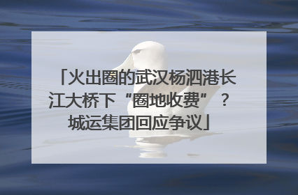 火出圈的武汉杨泗港长江大桥下“圈地收费”？城运集团回应争议