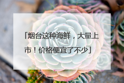 烟台这种海鲜，大量上市！价格便宜了不少