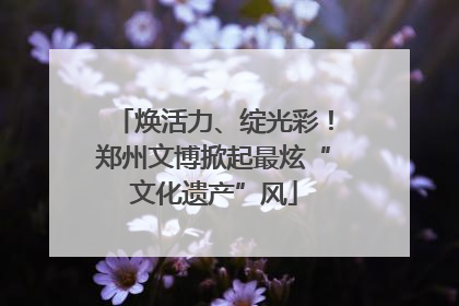 焕活力、绽光彩！郑州文博掀起最炫“文化遗产”风