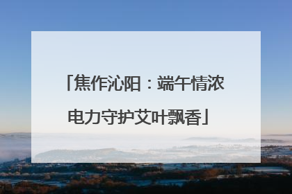 焦作沁阳：端午情浓 电力守护艾叶飘香