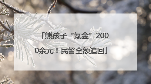 熊孩子“氪金”2000余元！民警全额追回