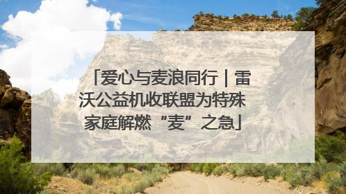 爱心与麦浪同行｜雷沃公益机收联盟为特殊家庭解燃“麦”之急
