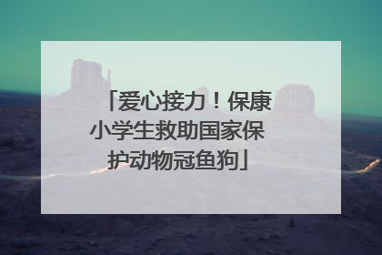 爱心接力！保康小学生救助国家保护动物冠鱼狗