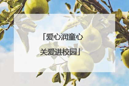 爱心润童心 关爱进校园