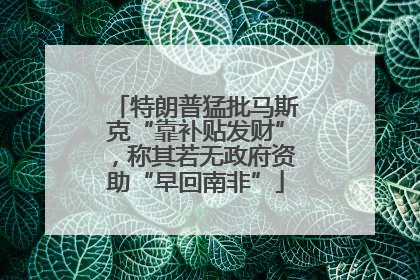 特朗普猛批马斯克“靠补贴发财”，称其若无政府资助“早回南非”