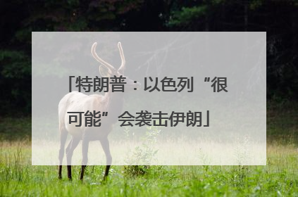 特朗普：以色列“很可能”会袭击伊朗
