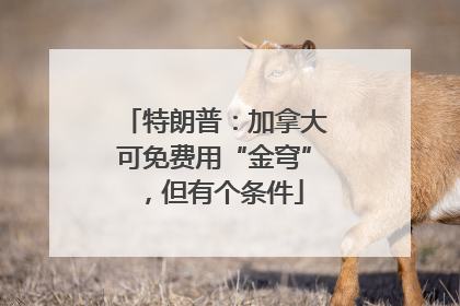 特朗普：加拿大可免费用“金穹”，但有个条件