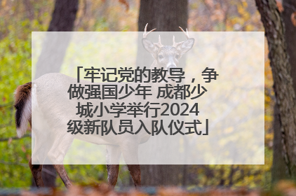 牢记党的教导，争做强国少年 成都少城小学举行2024级新队员入队仪式