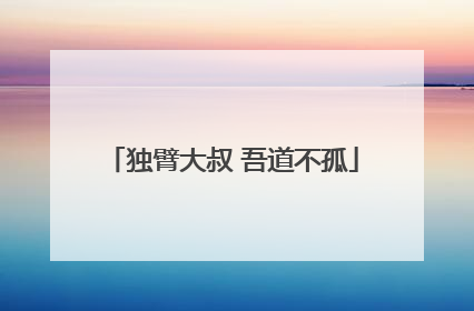 独臂大叔 吾道不孤