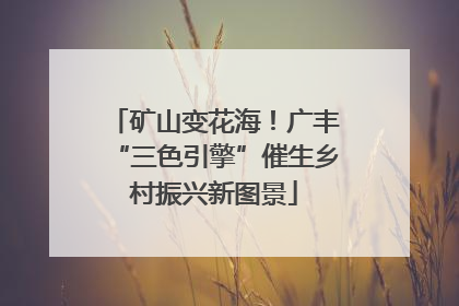 矿山变花海！广丰“三色引擎”催生乡村振兴新图景