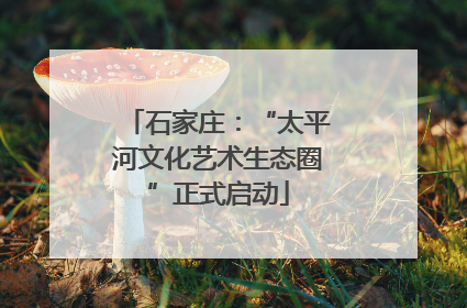 石家庄：“太平河文化艺术生态圈”正式启动