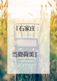 石家庄：当夏荷美