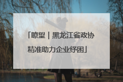 瞭望｜黑龙江省政协精准助力企业纾困