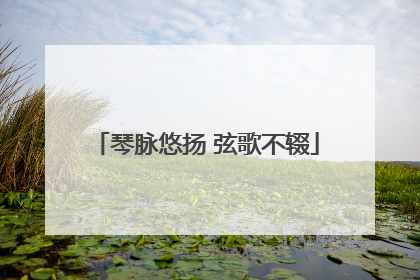 琴脉悠扬 弦歌不辍