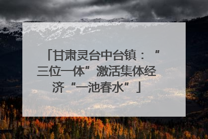 甘肃灵台中台镇：“三位一体”激活集体经济“一池春水”