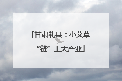 甘肃礼县：小艾草“链”上大产业