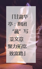 甘肃华亭：抱团“蔬”写菜文章 聚力拓宽致富路