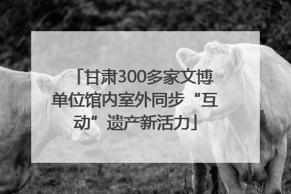 甘肃300多家文博单位馆内室外同步“互动”遗产新活力