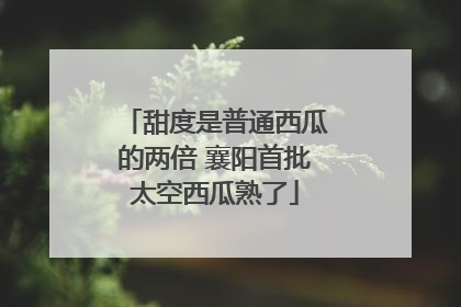 甜度是普通西瓜的两倍 襄阳首批太空西瓜熟了