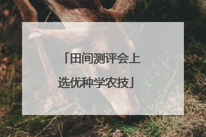 田间测评会上选优种学农技