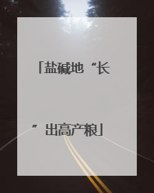 盐碱地“长”出高产粮