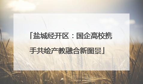 盐城经开区：国企高校携手共绘产教融合新图景