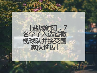 盐城射阳：7名学子入选省橄榄球队并接受国家队选拔