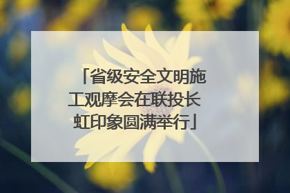 省级安全文明施工观摩会在联投长虹印象圆满举行