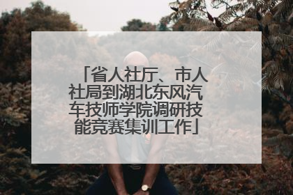 省人社厅、市人社局到湖北东风汽车技师学院调研技能竞赛集训工作