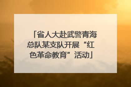 省人大赴武警青海总队某支队开展“红色革命教育”活动