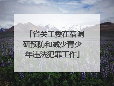 省关工委在宿调研预防和减少青少年违法犯罪工作