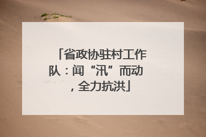 省政协驻村工作队：闻“汛”而动，全力抗洪