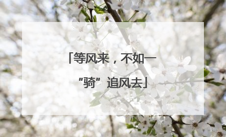 等风来，不如一“骑”追风去
