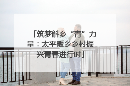 筑梦斛乡“青”力量：太平畈乡乡村振兴青春进行时