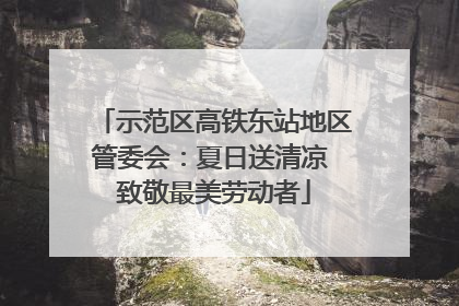 示范区高铁东站地区管委会：夏日送清凉 致敬最美劳动者