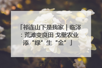 祁连山下是我家｜临泽：荒滩变良田 戈壁农业添“绿”生“金”