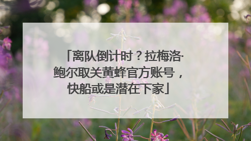 离队倒计时？拉梅洛·鲍尔取关黄蜂官方账号，快船或是潜在下家