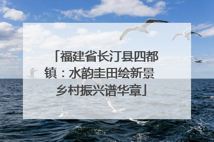 福建省长汀县四都镇：水韵圭田绘新景 乡村振兴谱华章