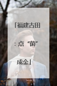 福建古田：点“菌”成金