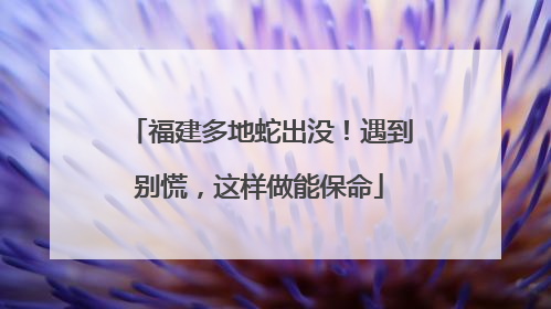 福建多地蛇出没！遇到别慌，这样做能保命