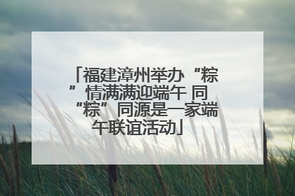 福建漳州举办“粽”情满满迎端午 同“粽”同源是一家端午联谊活动